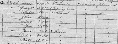 1870 Walsh census