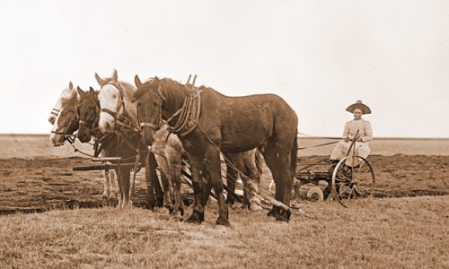 women homesteading west