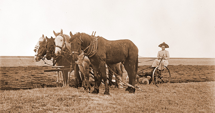 women homesteading west