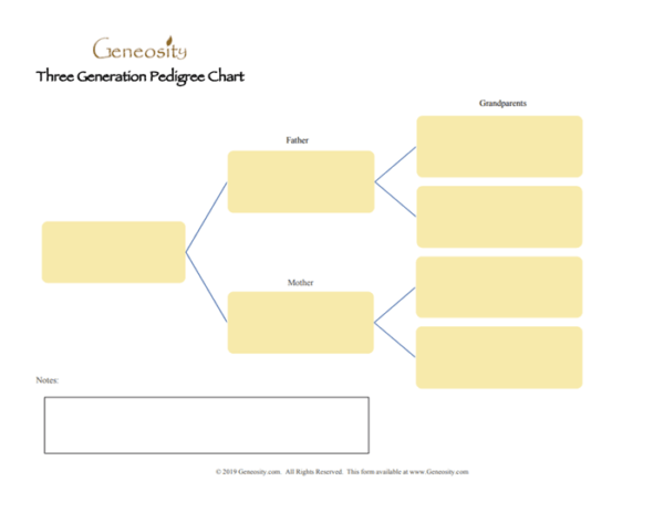 How to fill out pedigree chart  Pedigree chart, Family tree chart